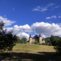 SET 50388