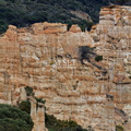 SET 37029